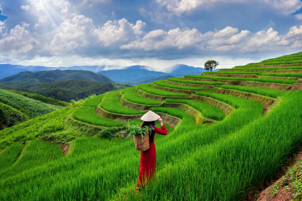 asian-woman-wearing-vietnam-culture-traditional